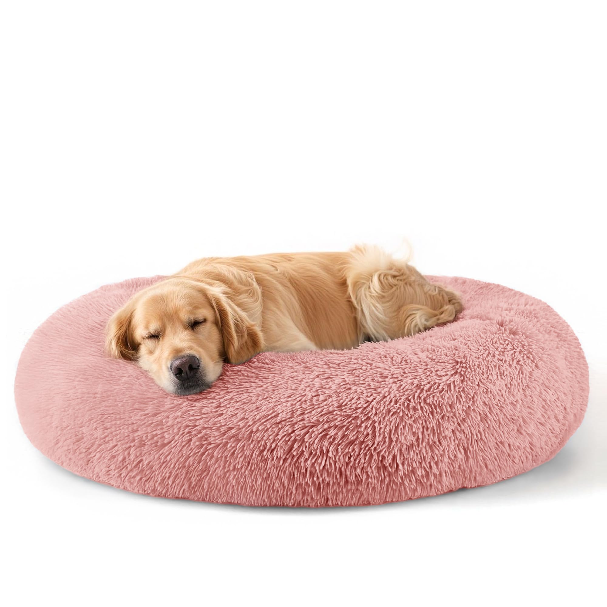 Suitable for indoor cat beds, a 20 inch soothing donut bed for kittens