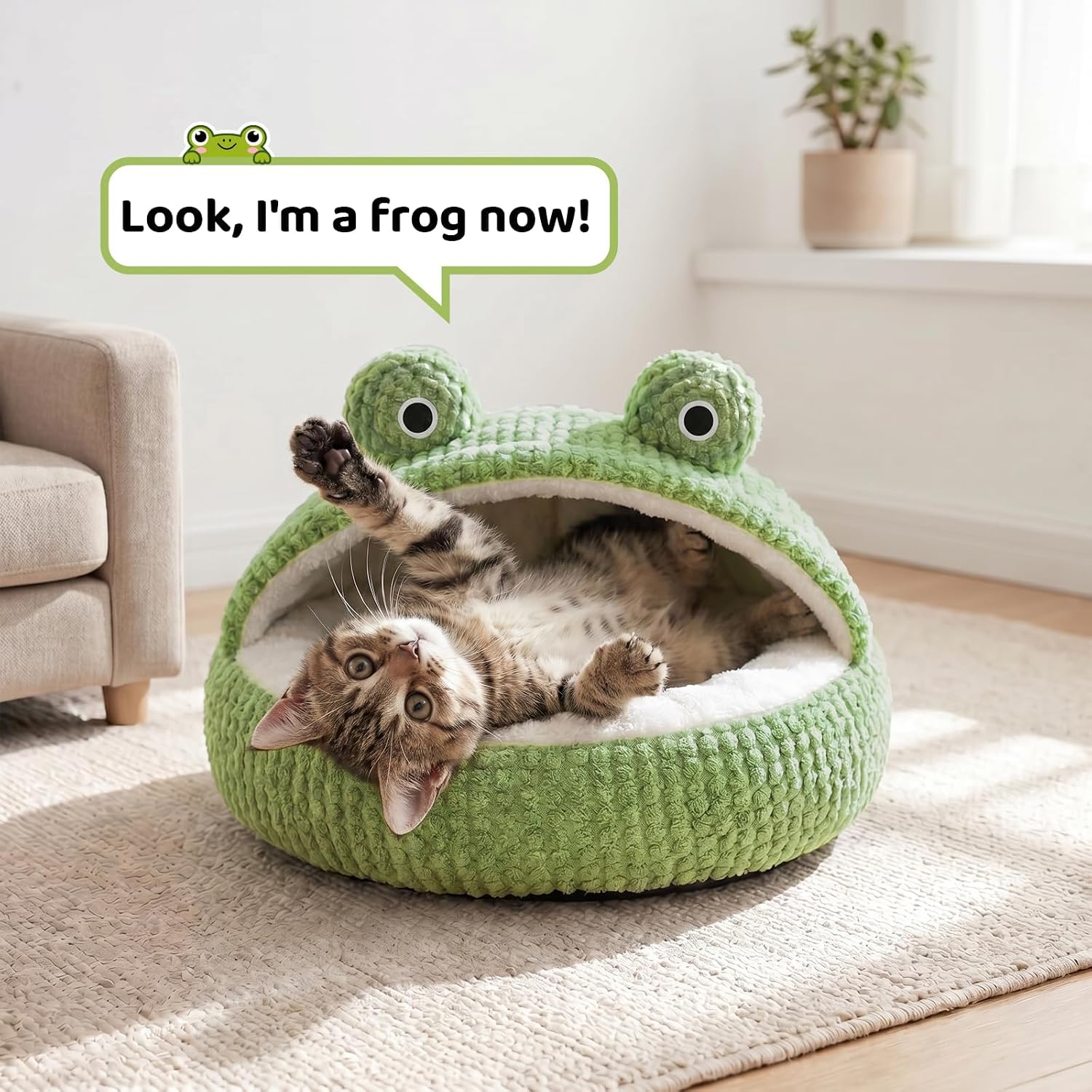 Cute cat bed, soft little bed, washable pet bed for cats