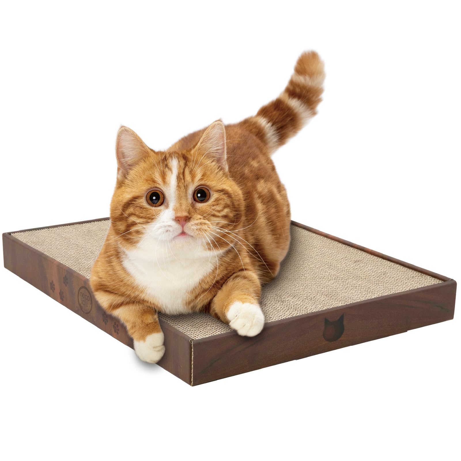 Cardboard indoor cat scratching bed - Catching board (16 inch regular)