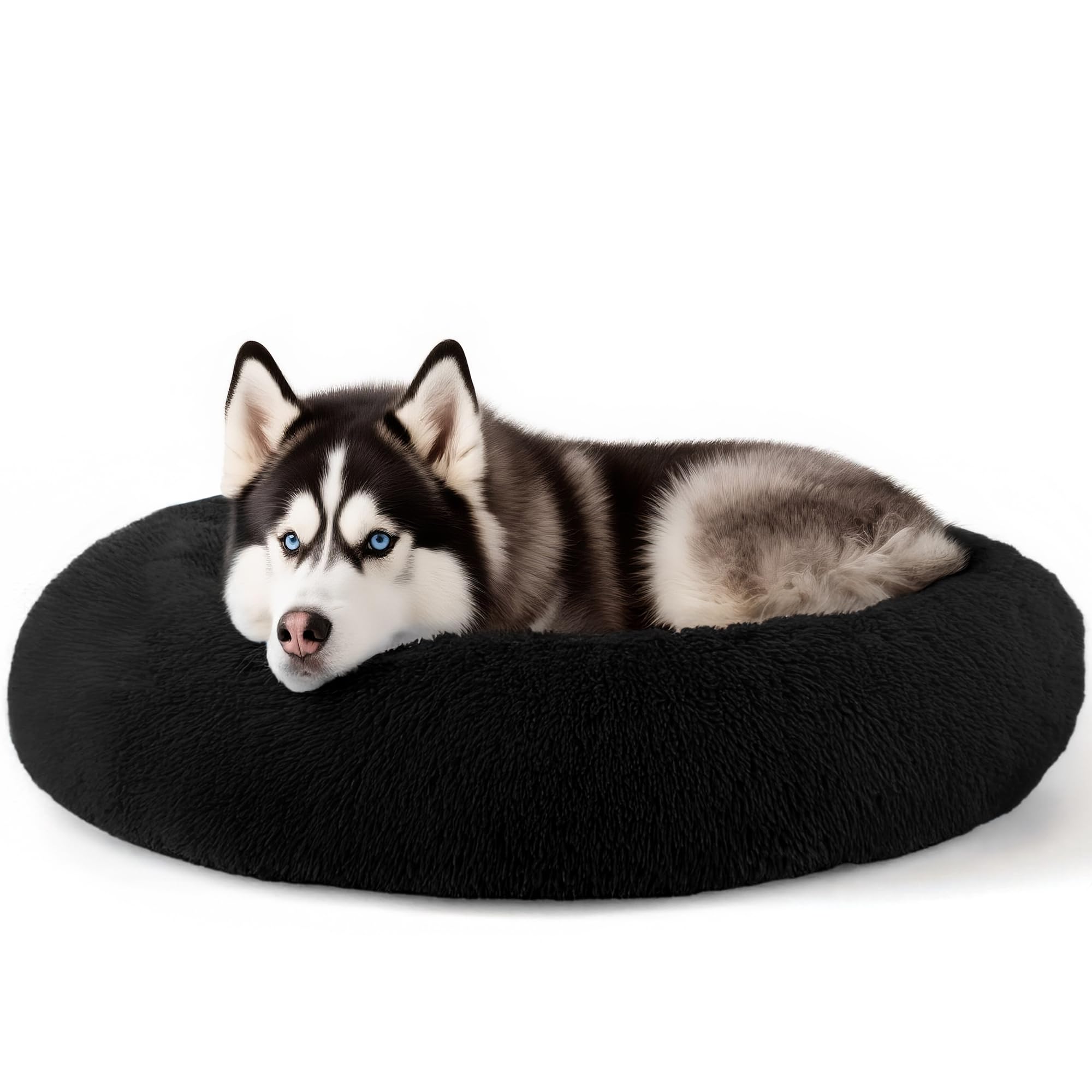 Suitable for indoor cat beds, a 20 inch soothing donut bed for kittens