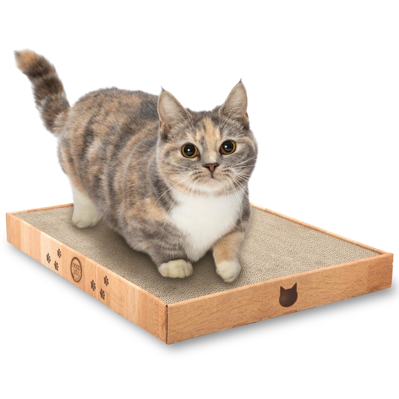 Cardboard indoor cat scratching bed - Catching board (16 inch regular)