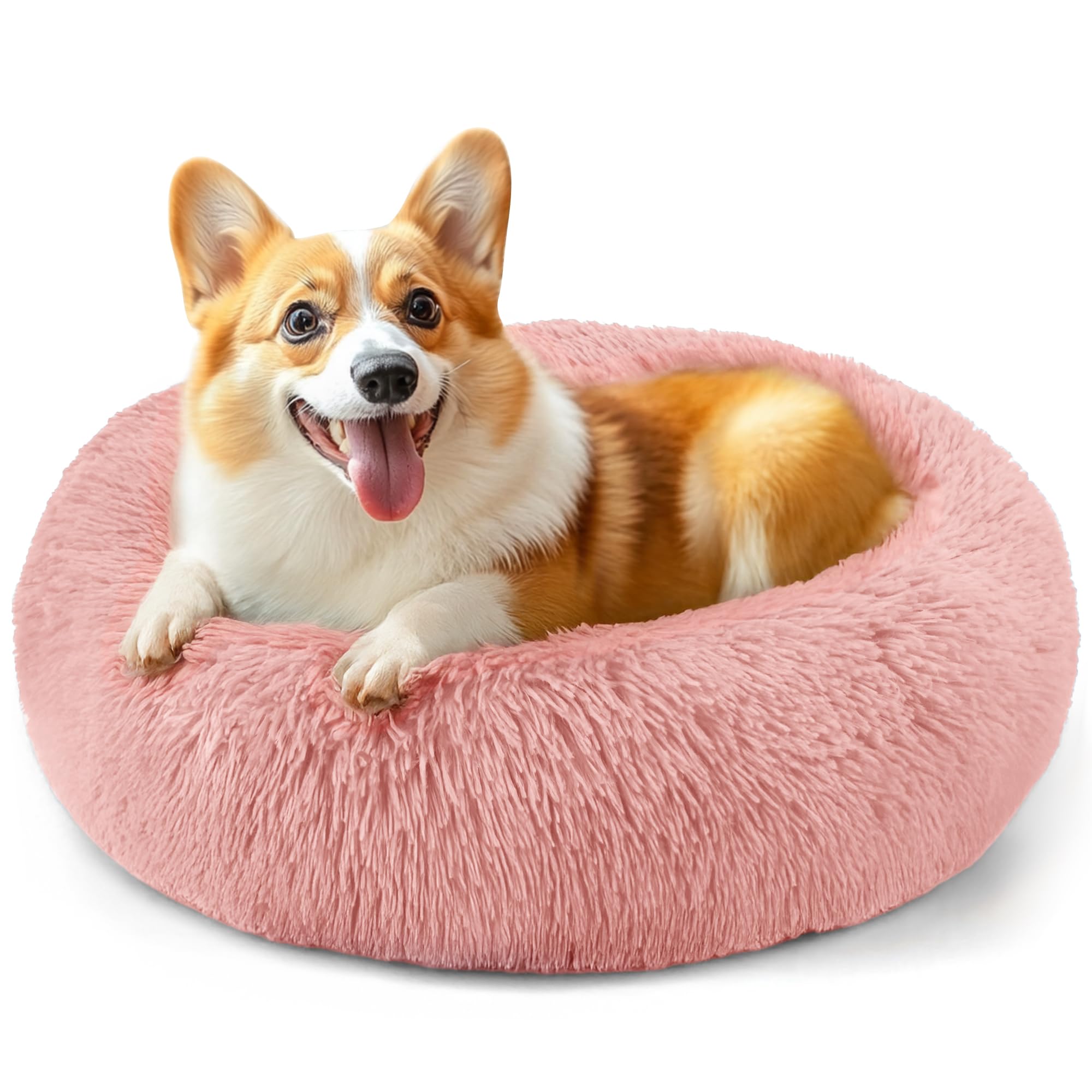 Suitable for indoor cat beds, a 20 inch soothing donut bed for kittens