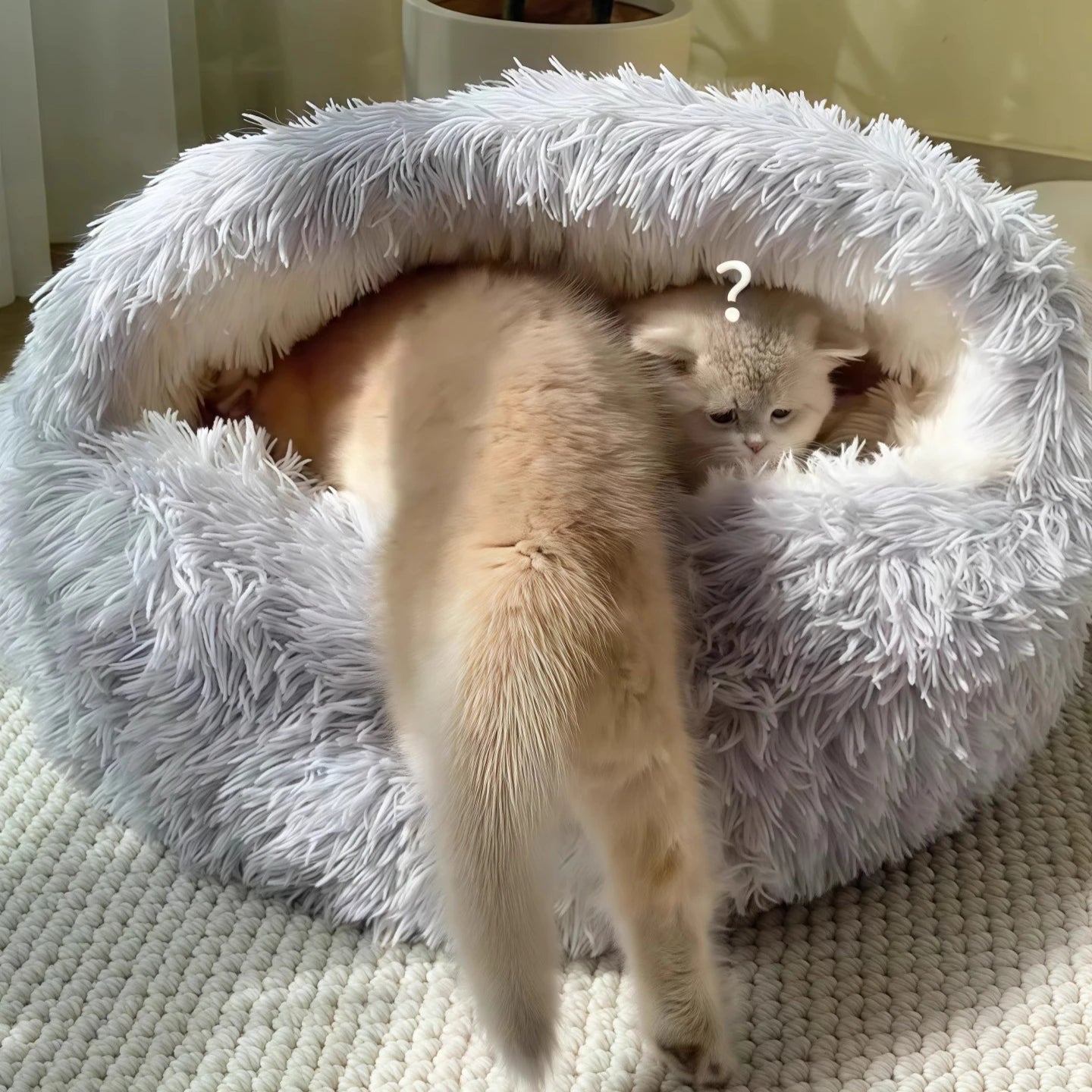 2-in-1 soft plush pet bed with lid, circular cat bed, pet mattress, warm cat bed
