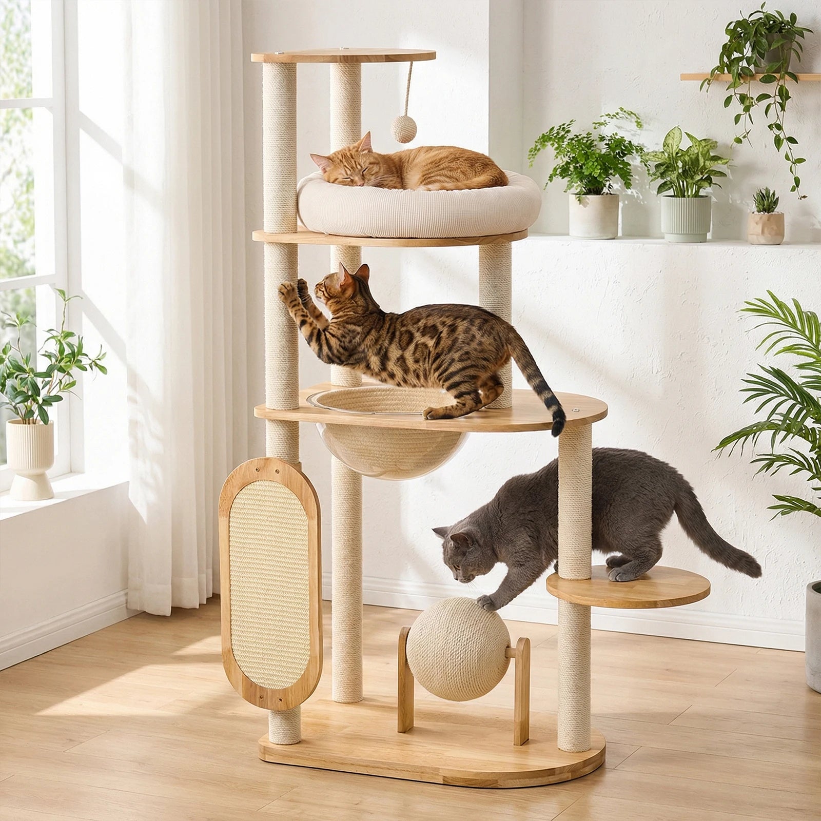 Solid rubber wooden cat climbing frame with grab bar, easy to clean, suitable for multiple large cats